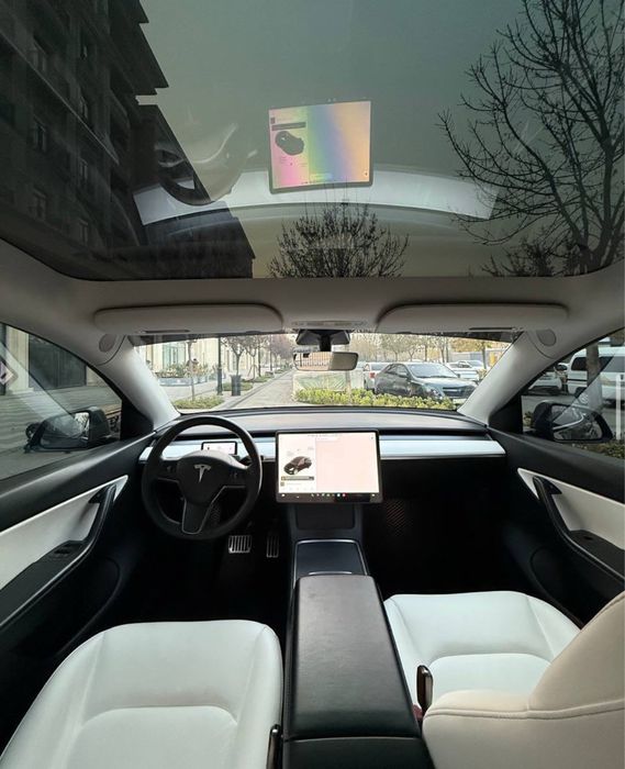 Tesla Model Y USA 2021/2022