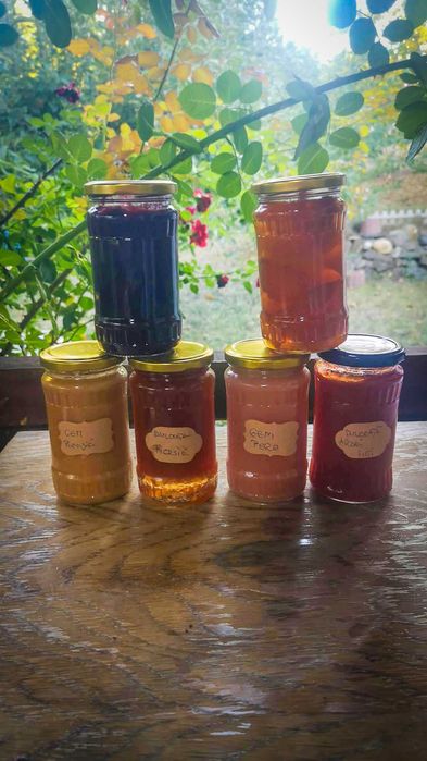 Dulceata si Gem de Casa 400g | Alimente de Post