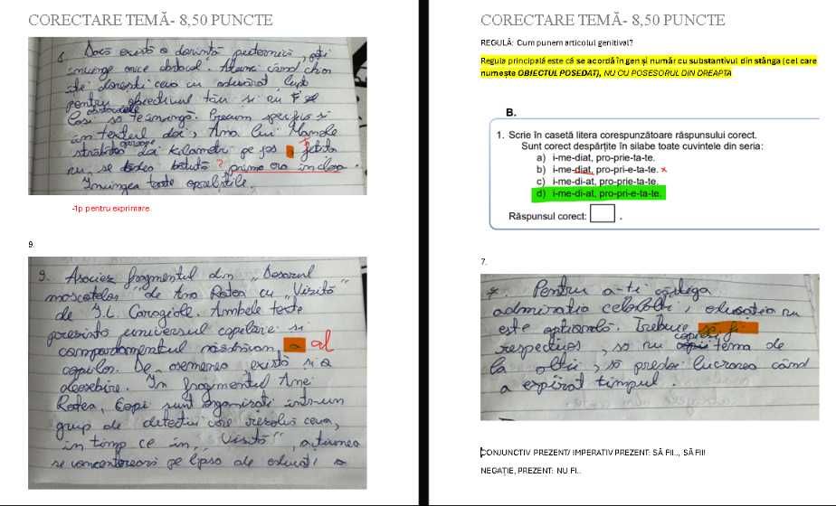 Meditații  Limba și Literatura Română (GIMNAZIU)
