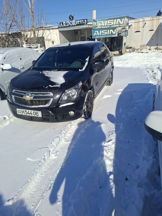 Cobalt midnight qora 2025