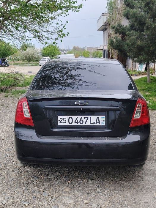 Жентра кора 2015