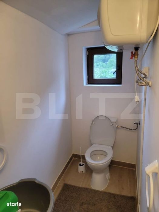 Casa de vanzare, 135 mp si 5 hectare de teren, langa Deva