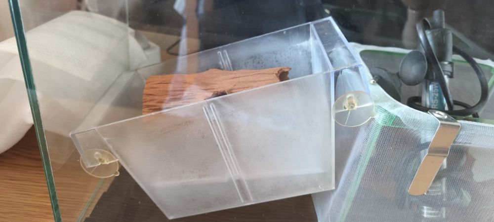 Малък 12 л аквариум + 2 отделения за размножаване