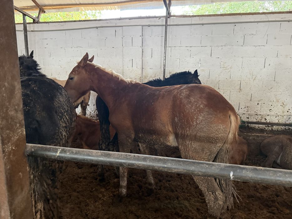 Мария Кожевникова порно видеода