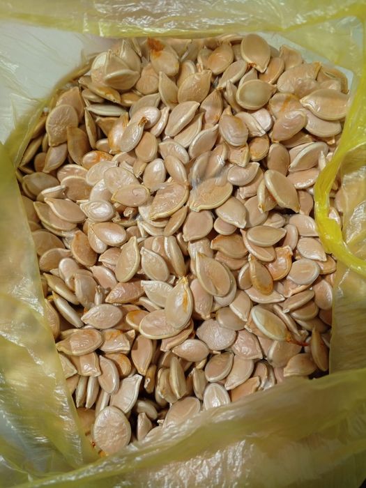 Продам тыквенные семечки.