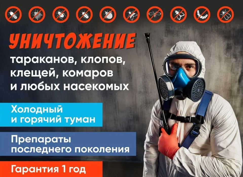 Dezinfeksiya Дезинфекция 24 часа клоп таракан блох suvarak kana burga