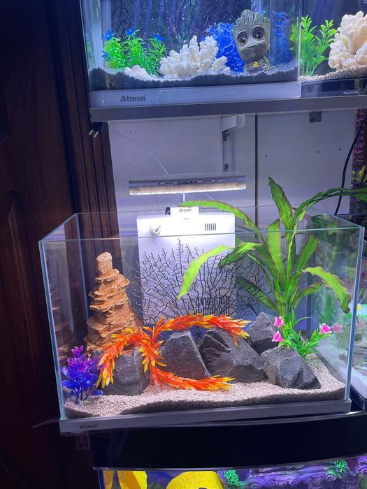 Akvarium Xitoy New 30 Litr