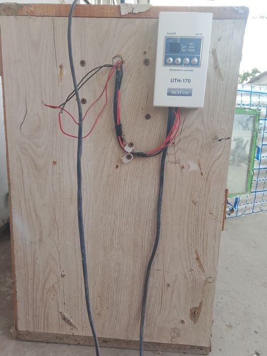 Inkubar 100 ta tuxum ketadigan