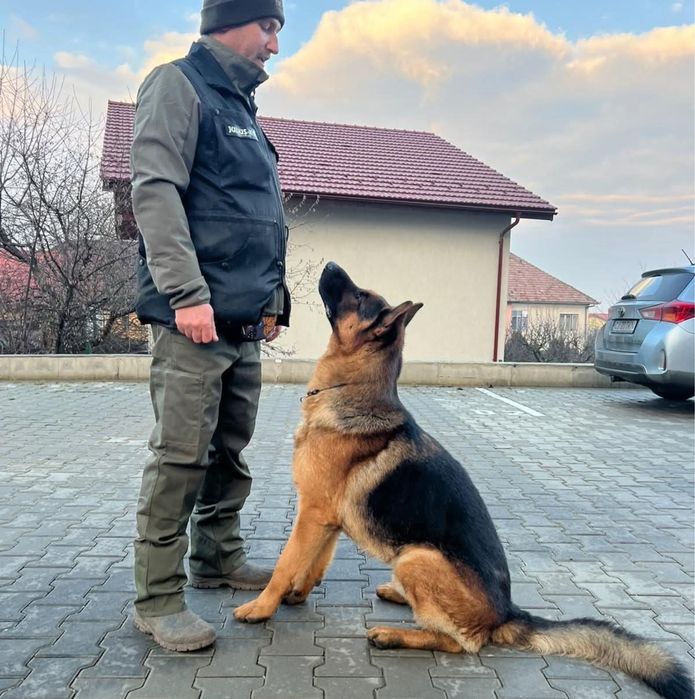 Dresaj Canin Cluj