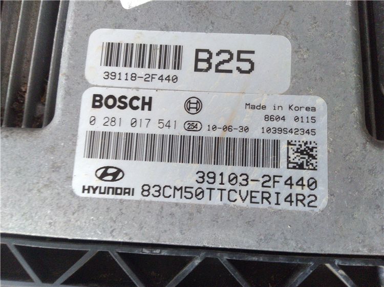 Calculator motor 2.2d hyundai santa-fe an fabr. 2011