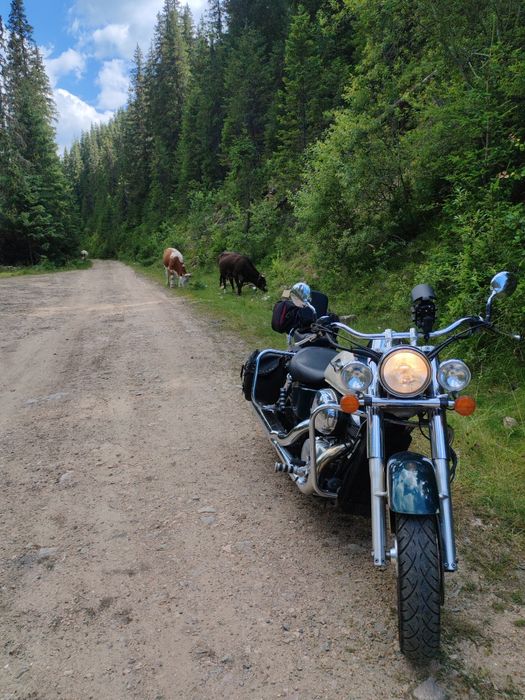 Honda Shadow VT750 ACE