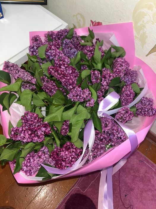 Цветы,апрельский сиренЬ