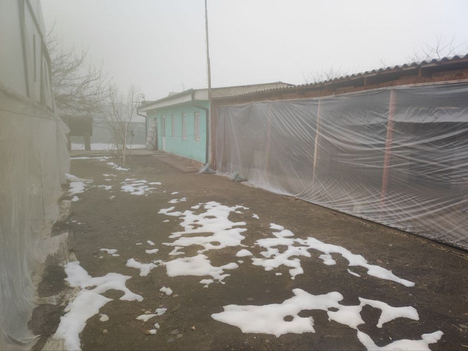 Sirdaryo shaharda 24 sothli uy sotiladi