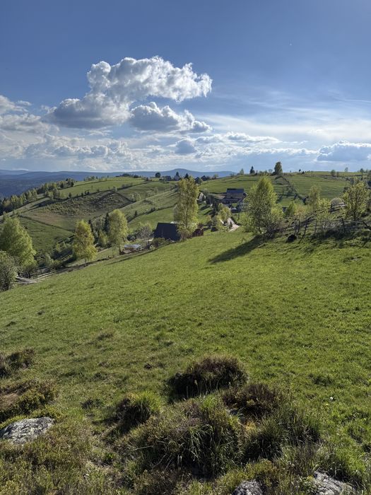 TEREN INTRAVILAN 6.000 MP | PRIVELIȘTE SUPERBĂ | ideal pentru cabane & investiții