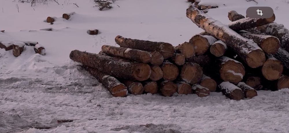 Продам лес не ограниченном количестве