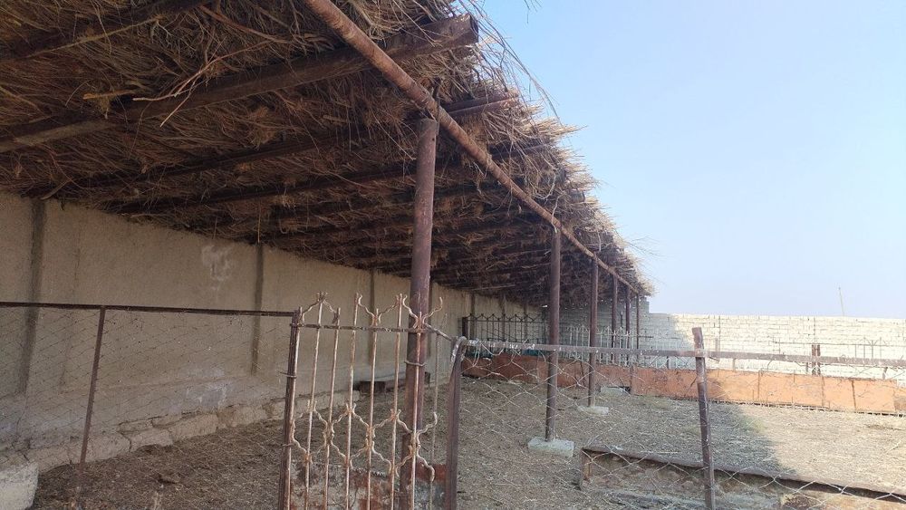 Noturar yer sotiladi manzil Hujaqurgʼon tarafga katta yulga yaqin