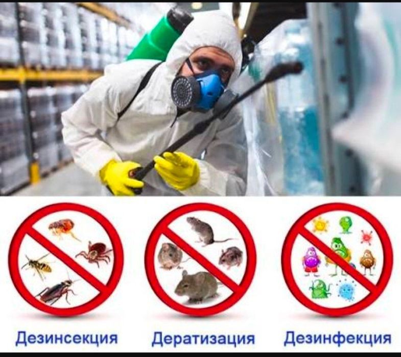 Дизинфекция Дезинфекция дезинсекция комплексные услуги .