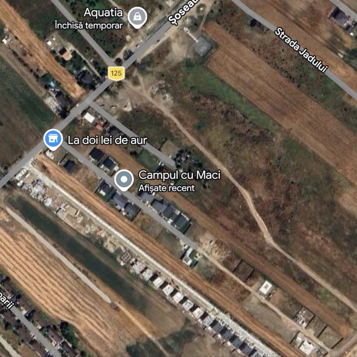 Teren de vazanzare- Domnesti