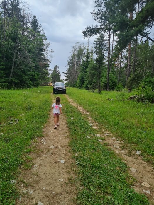 Продава се Парцел в Пловдив, Институт по овощарство - 561 кв.м за 18 €/кв.м - Снимка #9