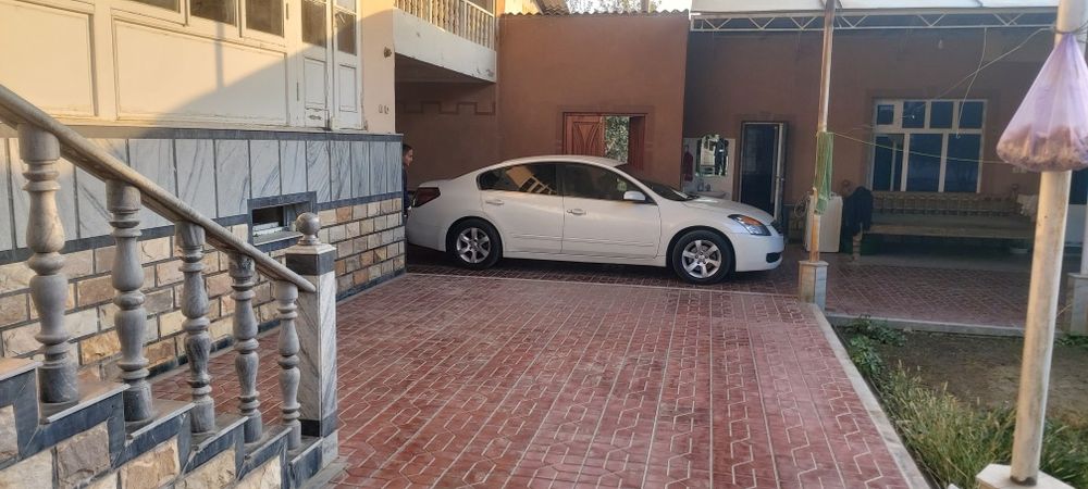 Хамма ишилар қилнган тйор оласилар минасилр