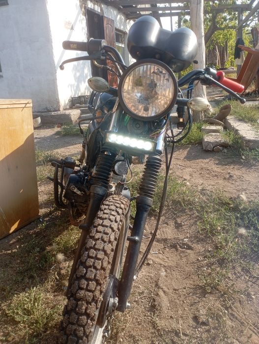 Продам альфу яки