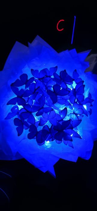 Букет из бабочек, светящийся синий и пышные! Люкс