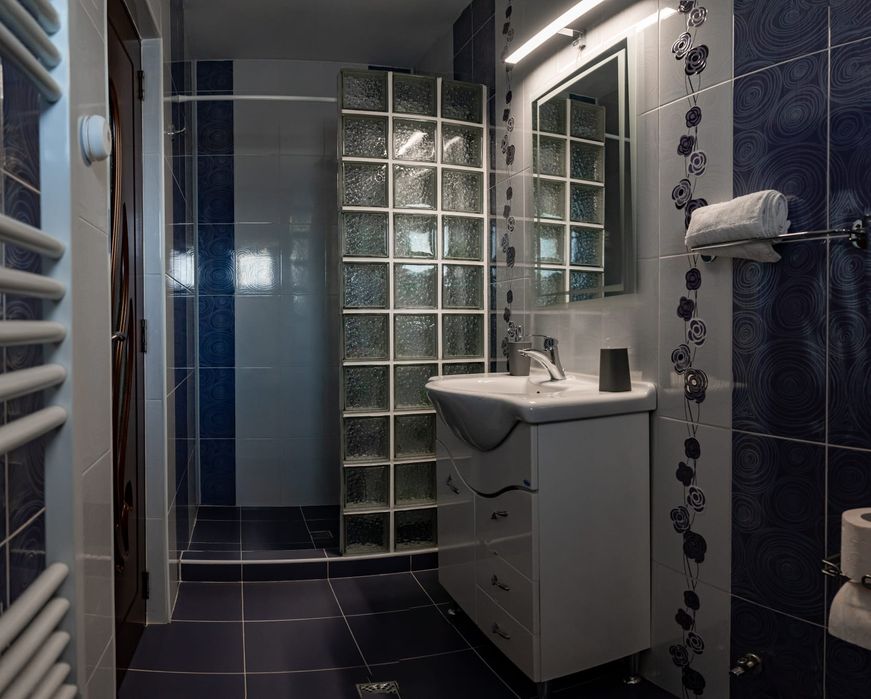 Pensiune,regim hotelier,Casa Darius