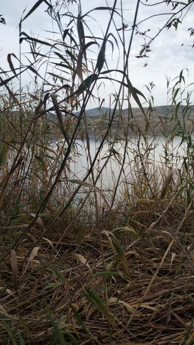 Участок на 42 км