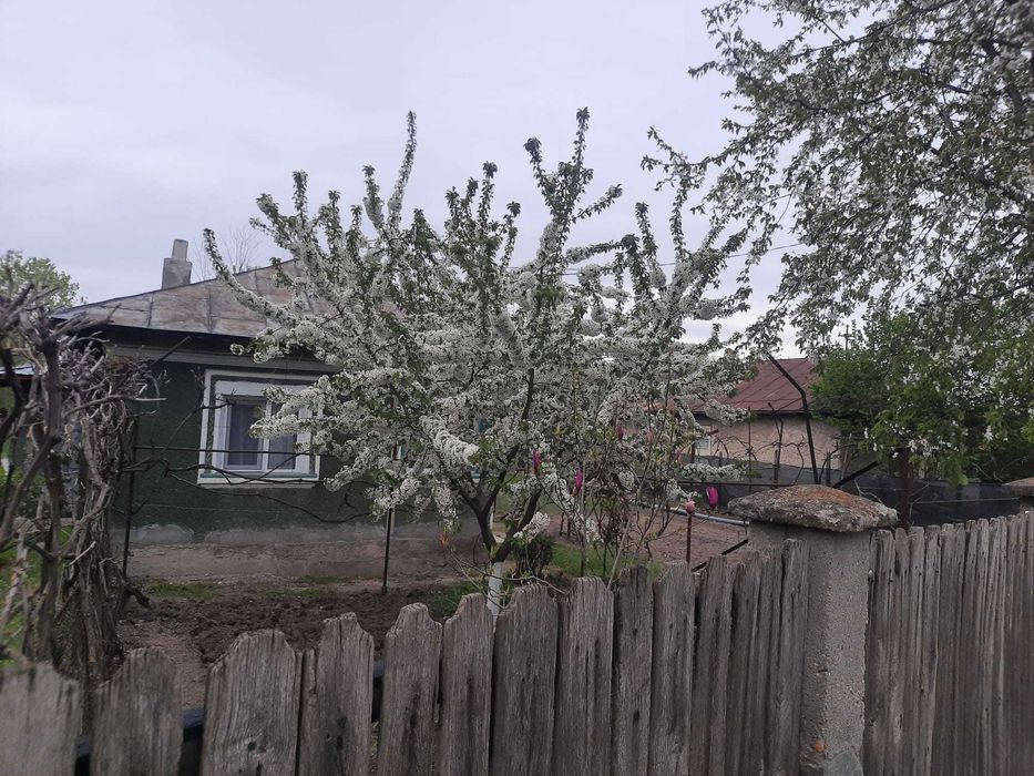 Casă + 3000 mp teren | Popești-Palanga Argeș | la stradă | 20.000 euro - negociabil