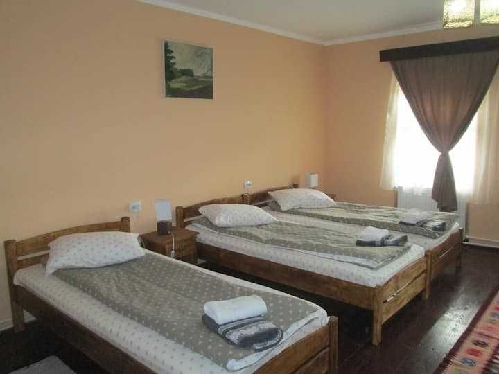 Oază de liniște și tradiție în inima Transilvaniei – Bruiu, Jud. Sibiu