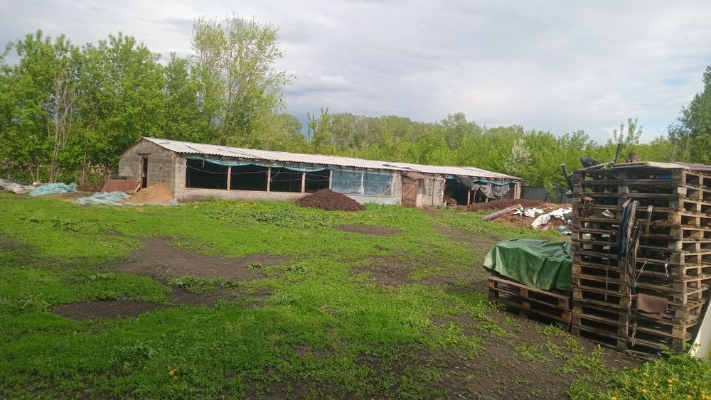 Продам дом  донское