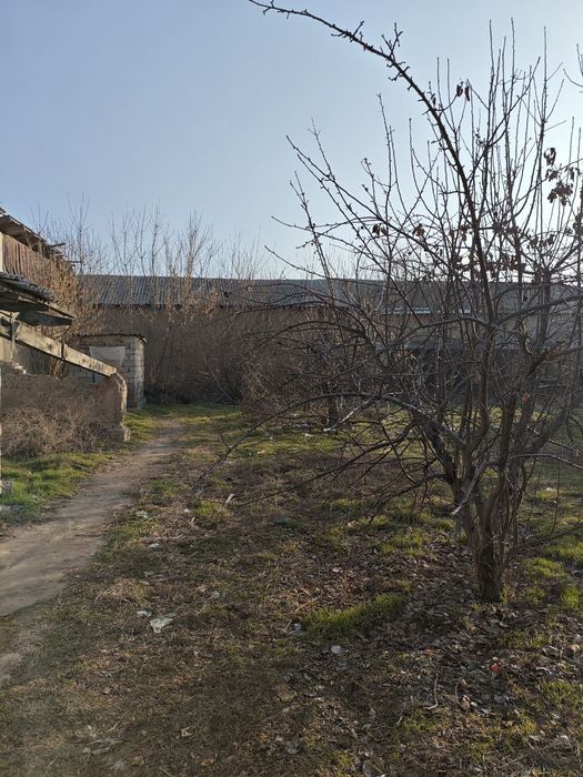 Uy Sotiladi 8.3sotix 105000$