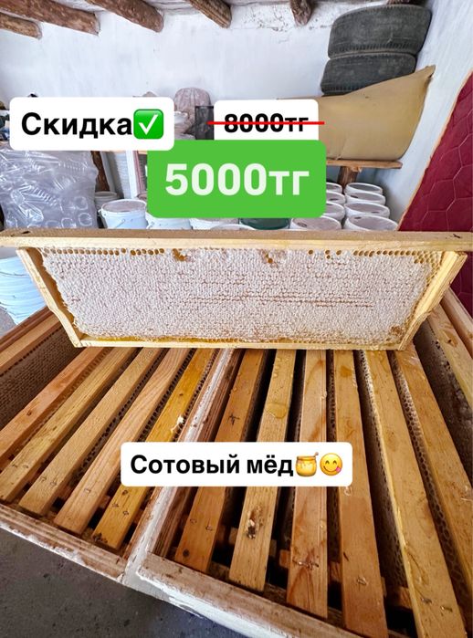 Мёд натуральный, сотовый мёд