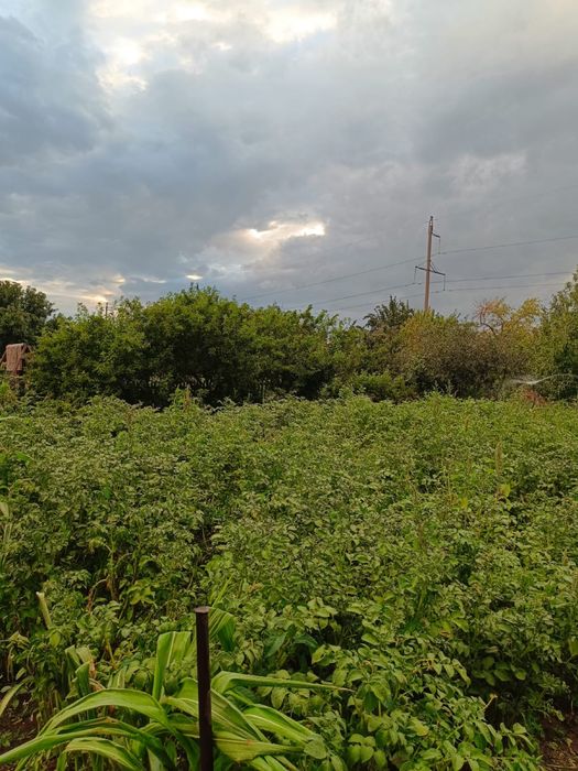 продам дачу на ягодке