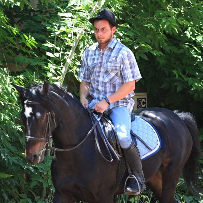 Продам кобылу ...