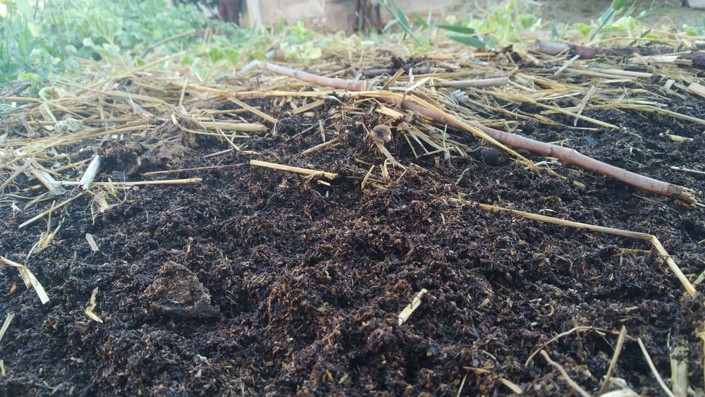 Parnik va Gul oʻstirish uchun Biogomus (bu  Chirindi,Qora tuproq)