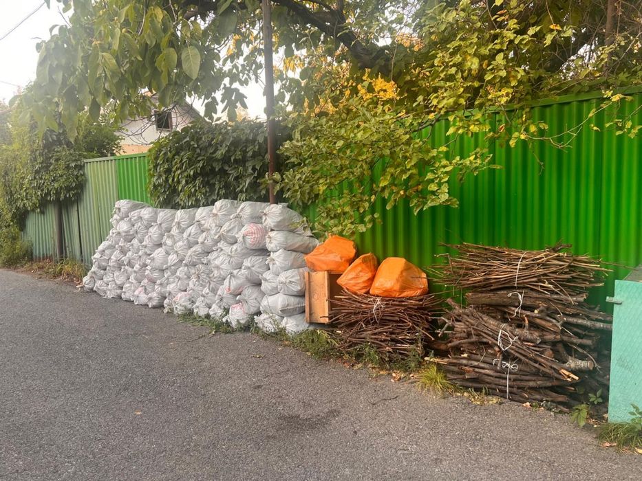 Дрова / дерево / много