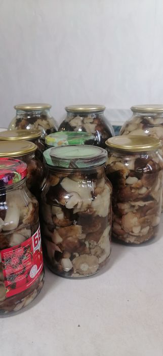 Продам грибочки очень вкусные