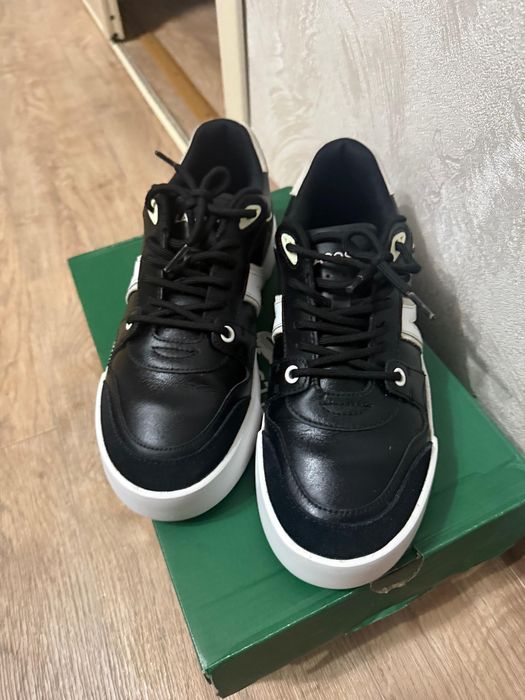 Мужские кеды lacoste