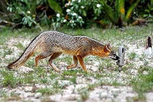 Atrapa electronica Icotec PD200 cu doua toppere vanatoare vulpe sacal