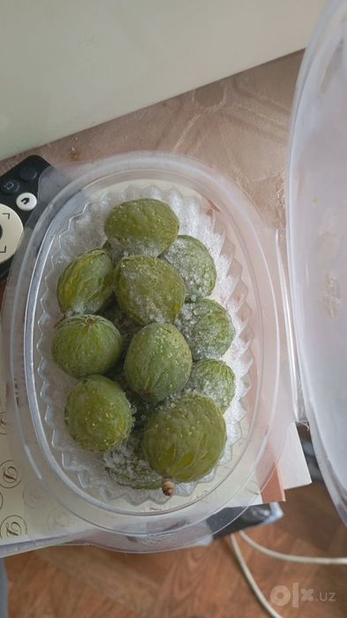 Dovchalar bor muzlatilgan bo'ladi