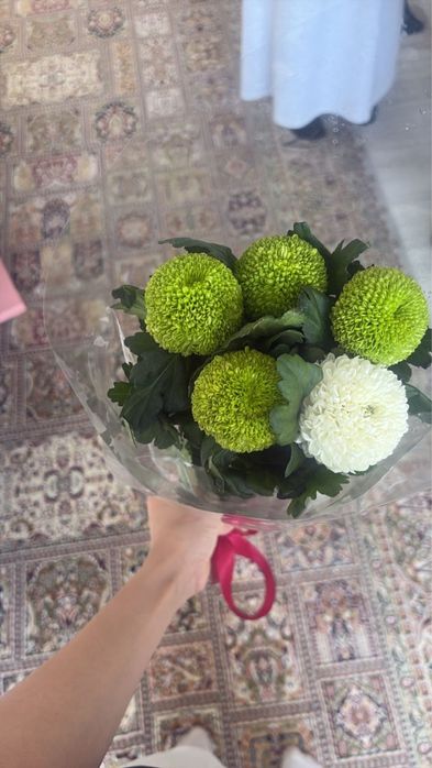 Трендовые цветы Момоко, город актау