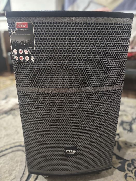 Колонки COV CV-125