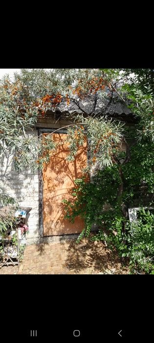 Прдам Дачу,милиоратор