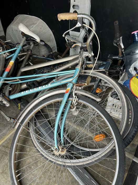 Колела във движение!