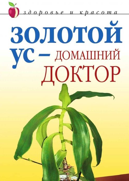 Золотой ус - домашний доктор   Автор Дарья Нестерова