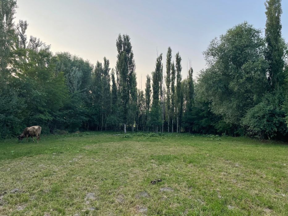 Srochno quruq yer sotiladi