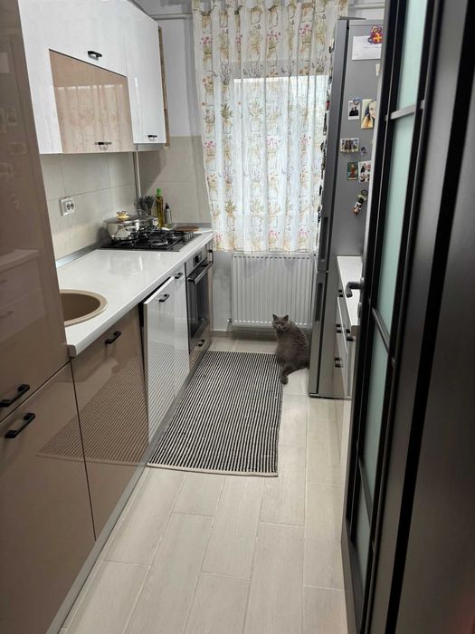 Apartament – Valea Lupului - Vedere 5