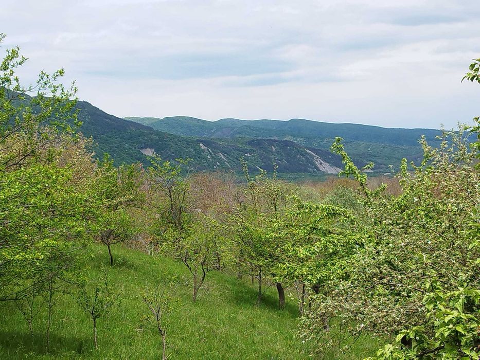 Casă cu teren în Cislău, Buzău