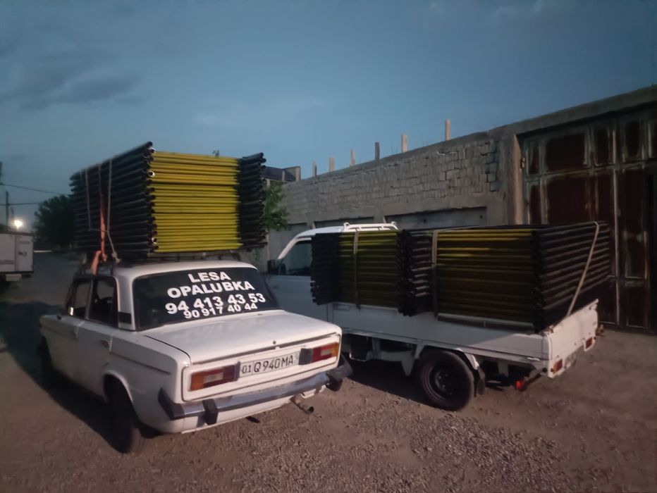 Lesa  apolovka arava bayon arenda  dastavka